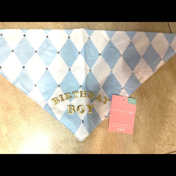 Francesca’s Collections Birthday Boy Bandana - Picture 4 of 8